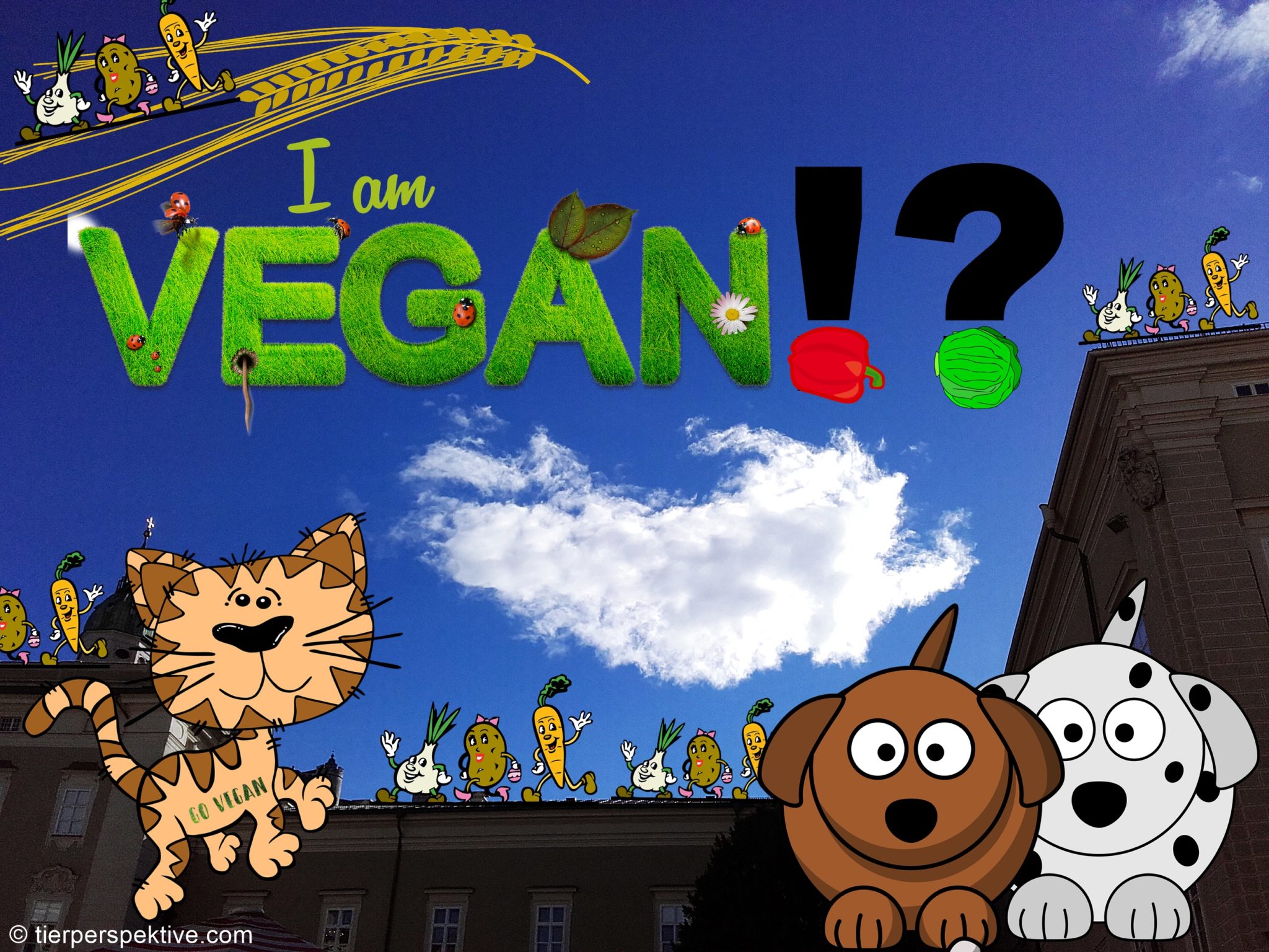 hund katze vegan vegetarisch ernähren