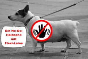 no go halsband mit flexi-leine