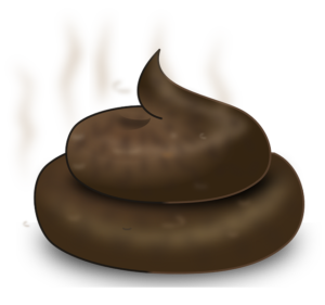 poop-311256_640