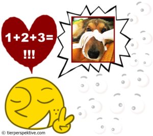 Haustier einschläfern