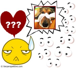 Haustier einschläfern