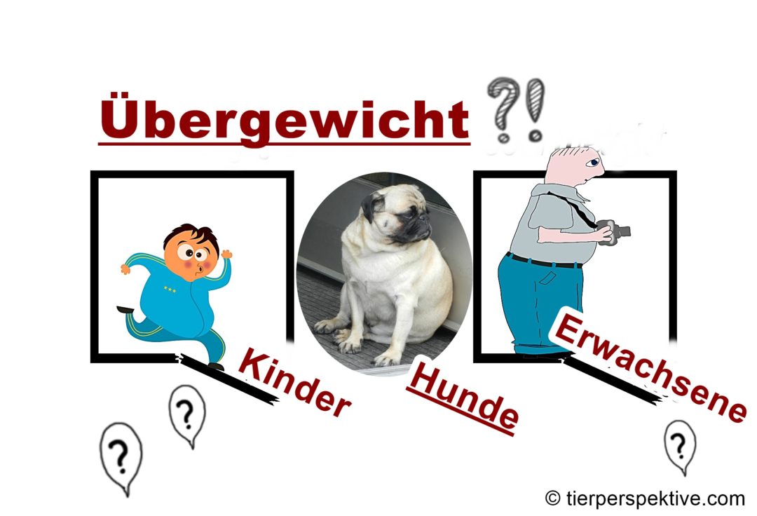 übergewicht-kinder-hunde-erwachsene hund hilft beim abnehmen