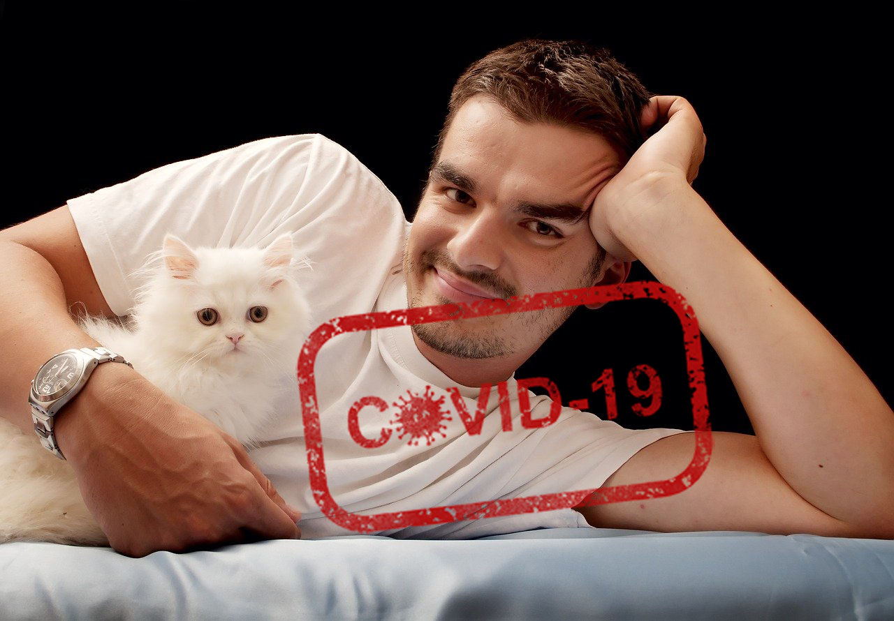 kann meine katze an corona sterben
