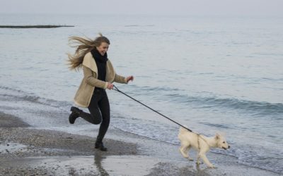 Methoden für die Leinenführigkeit unter der Lupe