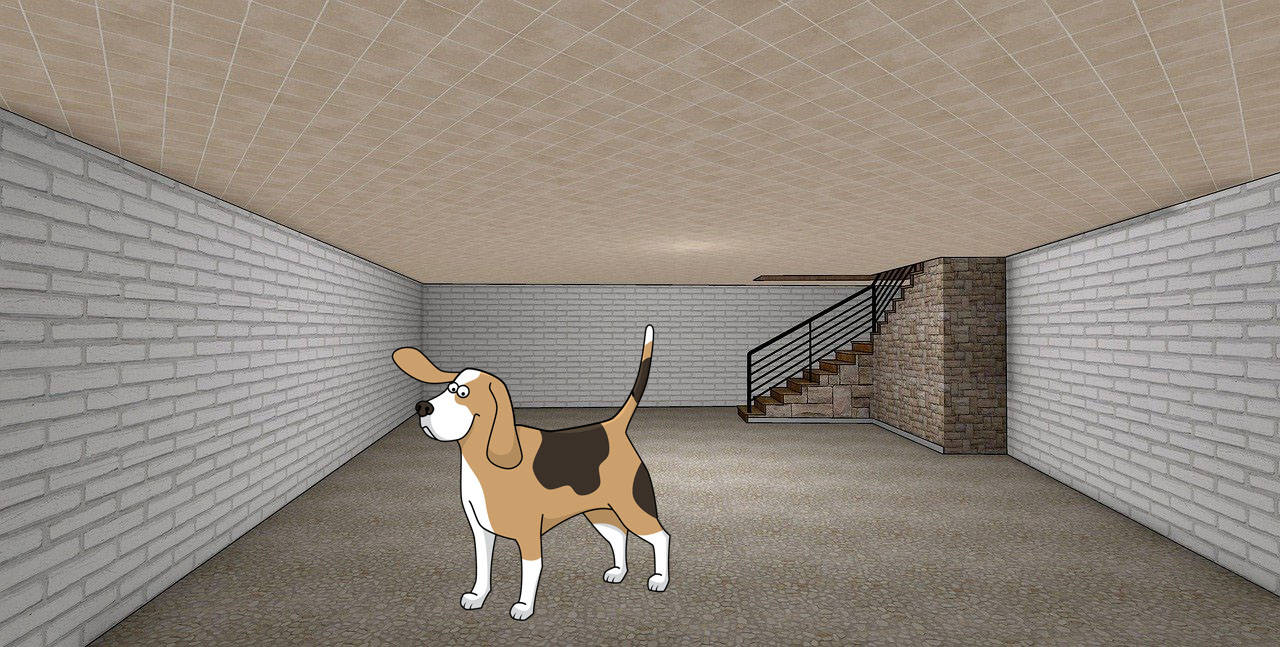 titelbild hund im keller Kellerspiele