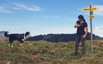 Sozialverband Hund & Mensch – vom Sitz-Platz-Fuß zum Dialog