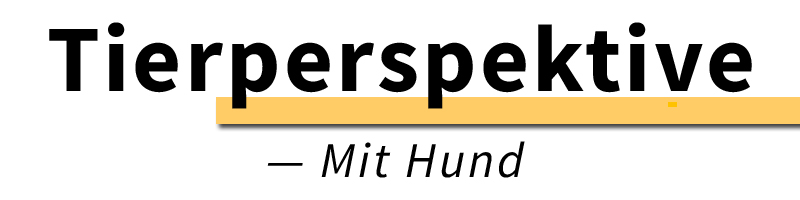 Tierperspektive – Mit Hund