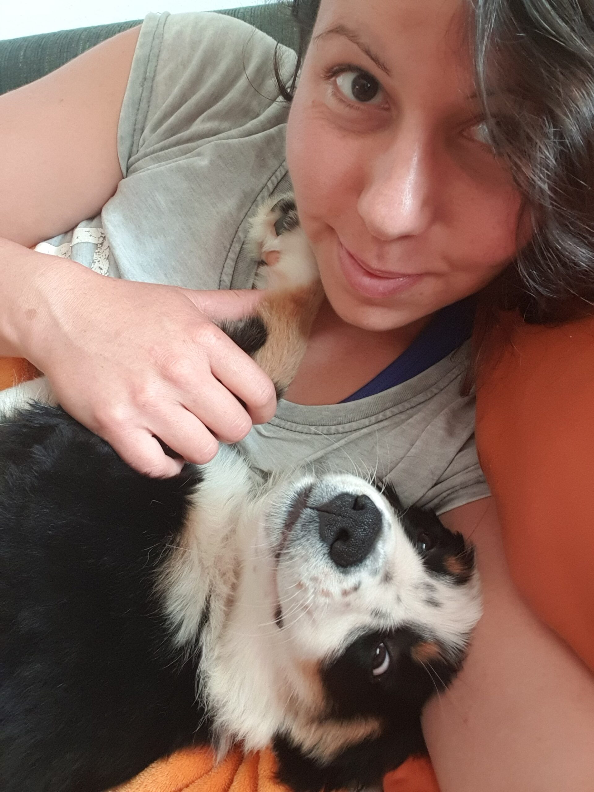 Soziale Kommunikation beim Hund beginnt Zuhause